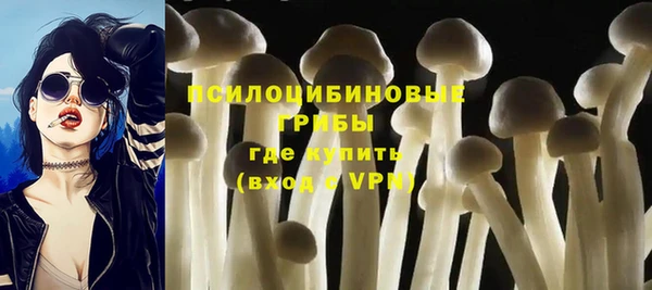 метадон Михайловск