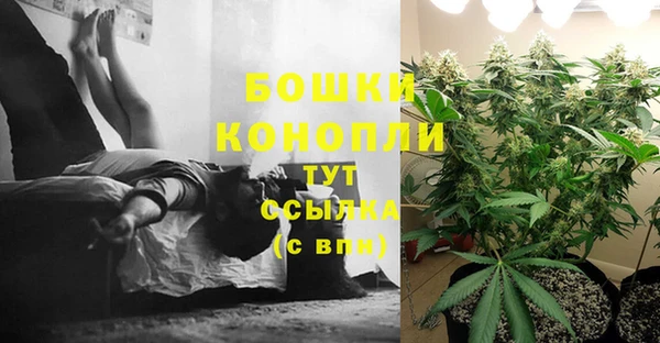 эйфоретик Михайлов