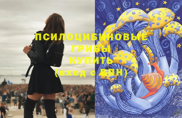 эйфоретик Михайлов