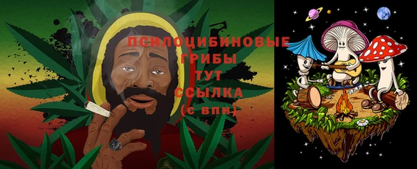 метадон Михайловск