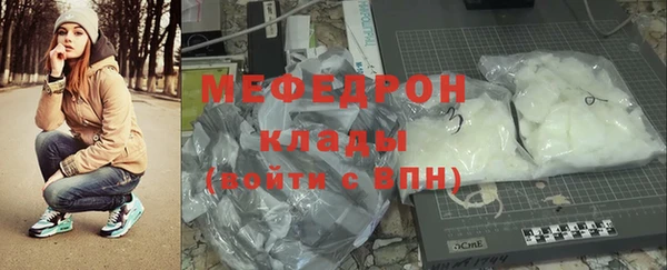 индика Снежногорск