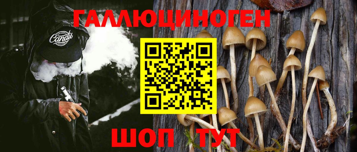Галлюциногенные грибы прущие грибы  Тосно  Псилоцибиновые грибы Magic Shrooms 
